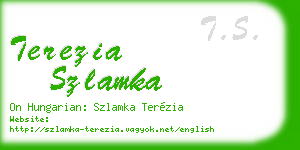 terezia szlamka business card